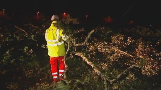 A maintenance worker tries to remove a fallen tree from the road.