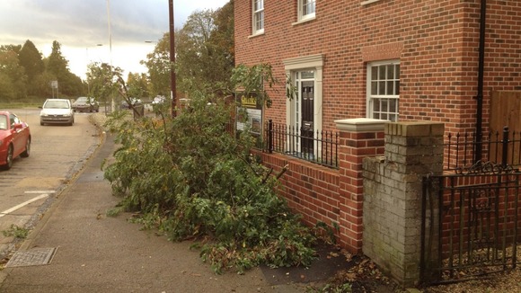 A tree is uprooted in Billericay, Essex.