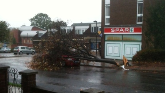 A tree falls onto a car in Bury St Edmunds, Suffolk. Luckily no one was injured.