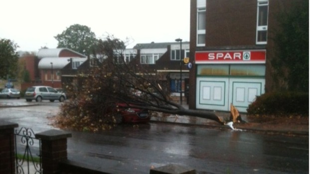 A tree falls onto a car in Bury St Edmunds, Suffolk. Luckily no one was injured.
