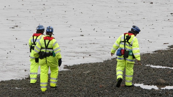 Coastguard search the coast of Belfast Lough, after a baby is believed to have fallen from a ferry.