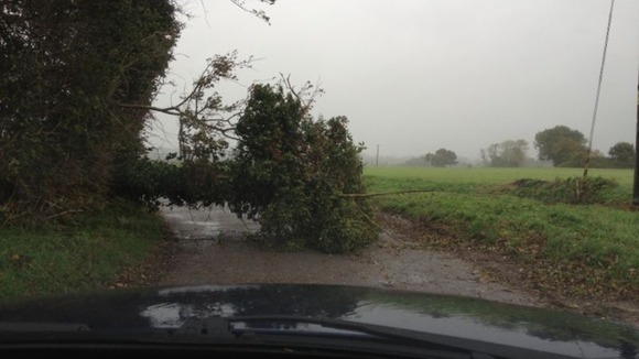 A fallen tree blocks a road near Harleston, Norfolk.