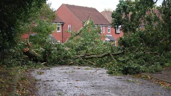 A scene of devastation in Kelsale-cum-Carlton, Suffolk.