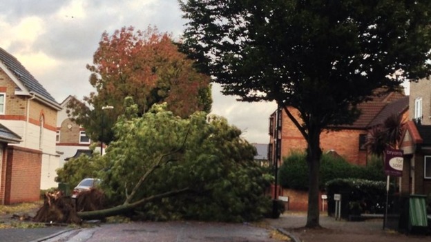 A tree falls blocking a road in Beckton.