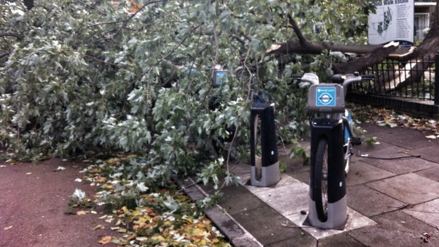 A tree lies across a 'Boris Bike' docking station in London