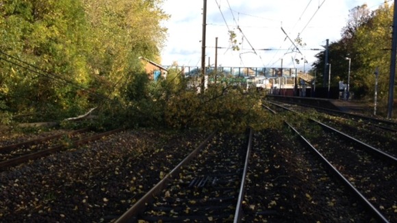 Fallen tree blocks the line near Hatfield.