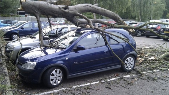 A tree causes damage in one of our region's car parks.