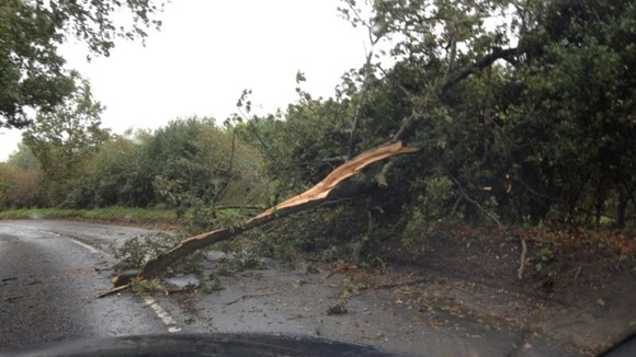 A fallen tree blocks a road in Norfolk.