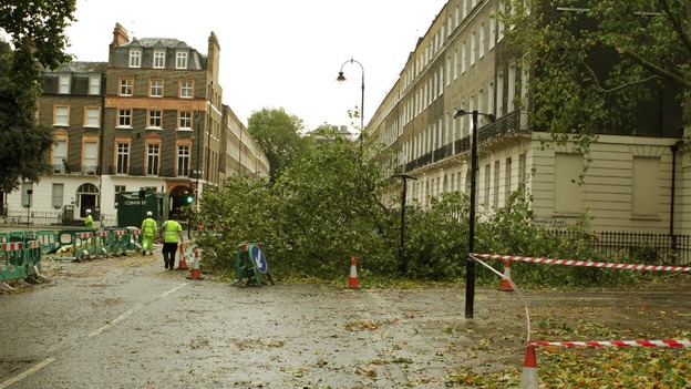 Workers cordon off part of a road in central London where a tree has fallen