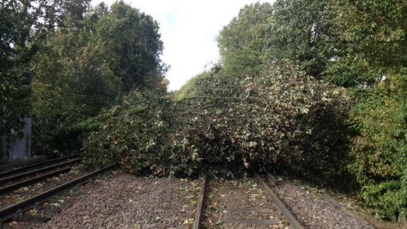 Tree down in Elmers End in the borough of Bromley.