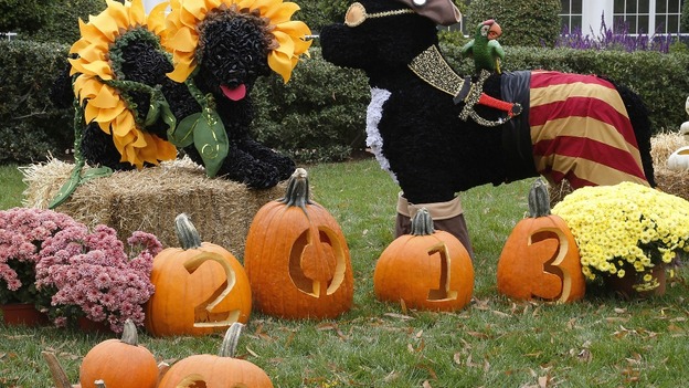 Presidential dogs Sunny and Bo are depicted as trick-or-treaters in decorations ahead of a children's reception on the South Lawn
