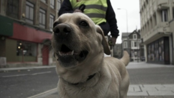 Top Dogs ITV Wales