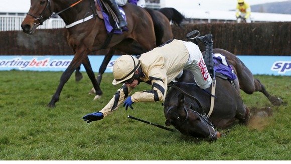 Jockey falling at Cheltenham races