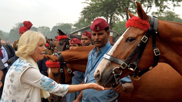 The Duchess treats the horses at the Indian Military Academy in Dehradun.