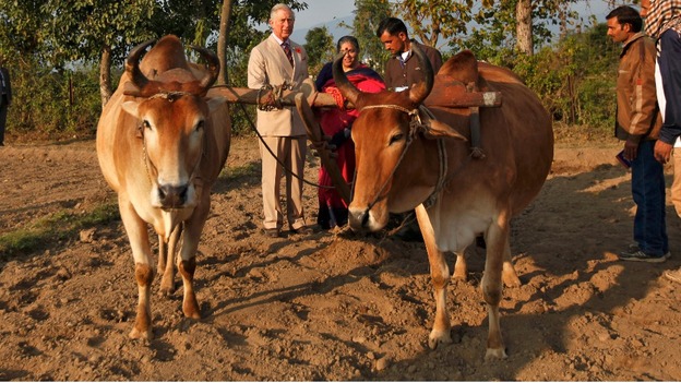 Prince Charles talks to a farmer at the Navdanya Bija Vidyapeeth Farm.