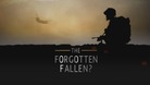 The Forgotten Fallen?