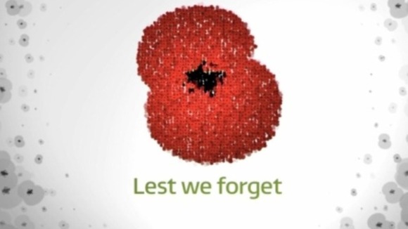 Poppy graphic