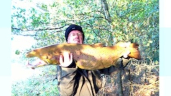 Shamus with salmon