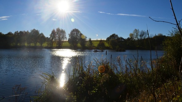 Shipley Country Park - Heanor