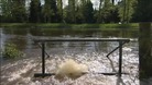 River Wharfe