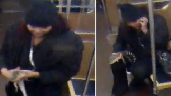 Police are searching for the woman, who was the last person seen with the alligator before it was found at the airport.
