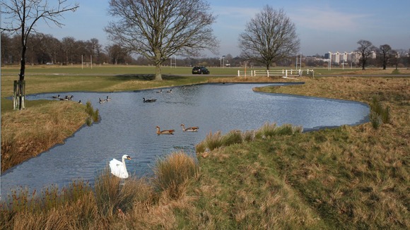 Jubilee Pond