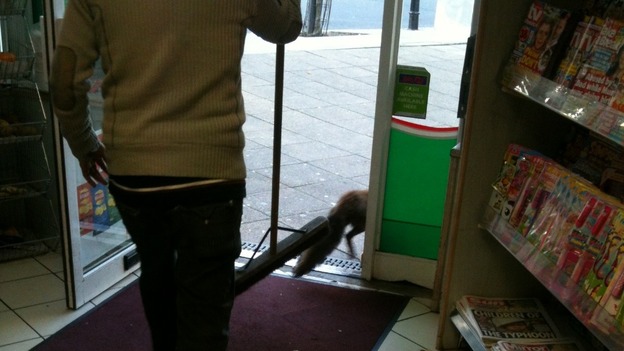 Shop assistant 1 - Fox 0