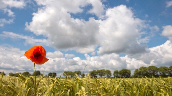 An appeal has been made for people to attend the funeral of World War 2 veteran Frederick Leach.