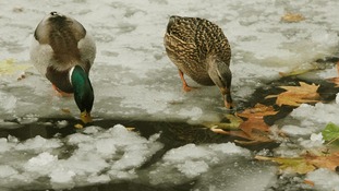 Most of the UK will see frosty, icy conditions in the coming days
