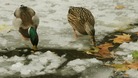Most of the UK will see frosty, icy conditions in the coming days