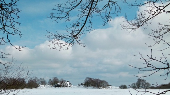 Whitwick