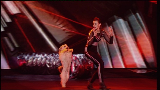 Britain's Got Talent winners Ashleigh and Pudsey performing in the final