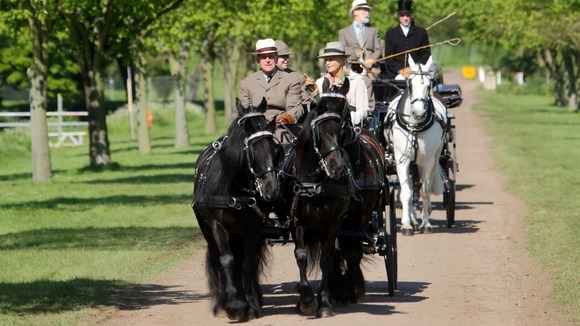 Duke of Edinburgh carriage riding