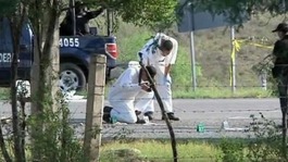 49 bodies were found at the scene in Mexico