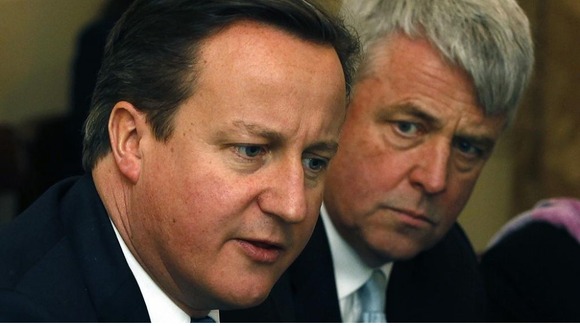 Prime Minister David Cameron supports Health Secretary Andrew Lansley's reforms