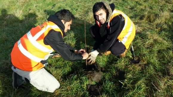 Two young men from AMYA plant a tree