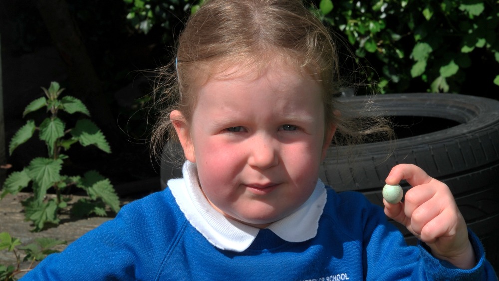 Is this the smallest egg in the world? Wales ITV News