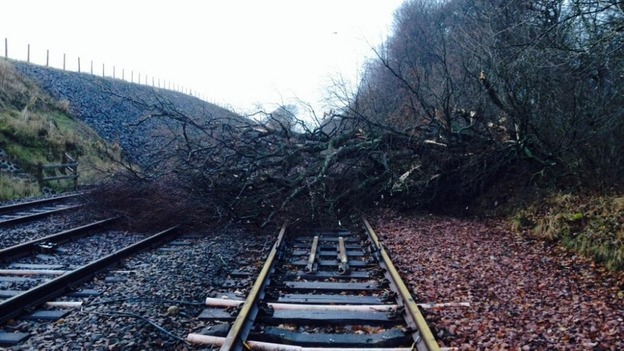 Tree blocking the line at Gartshore