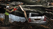 A tree lands on a car in Davidsons Mains, Edinburgh