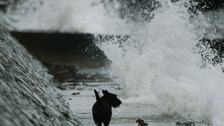 Huge tidal surge batters East Coast
