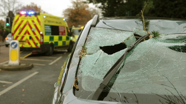 The damage to Mr Sial's car after the tree was removed.
