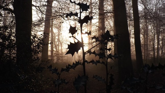 A misty morning in Waingroves Woods, Derbyshire