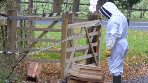 A volunteer keeper surveys the damage