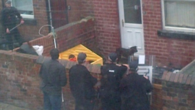 One of the dogs was captured by police at the back of the property, the other was caught inside.