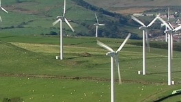 Windfarm