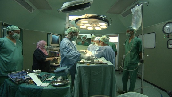 Kidney transplants in Gaza