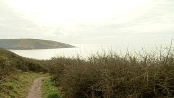 sw coastal path