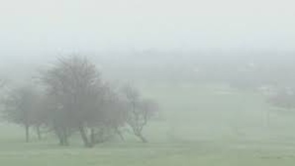 Fog