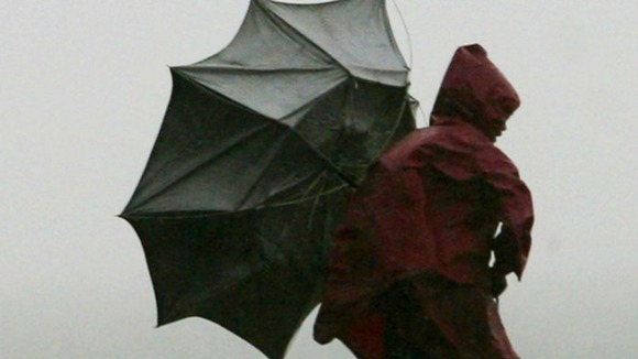 Umbrella