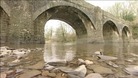 River Torridge